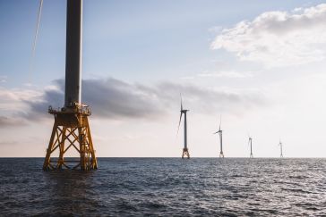Evaluating the impact of offshore wind farms on fish biomass