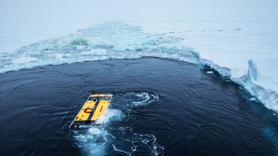 Sonardyne Technology Helps Locate Shackleton’s Historic Endurance Vessel
