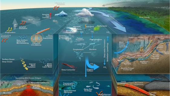 Uncovering the Mysteries of the Oceans