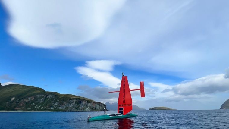 Saildrone to Detect and Protect Marine Mammals Ahead of Offshore Wind