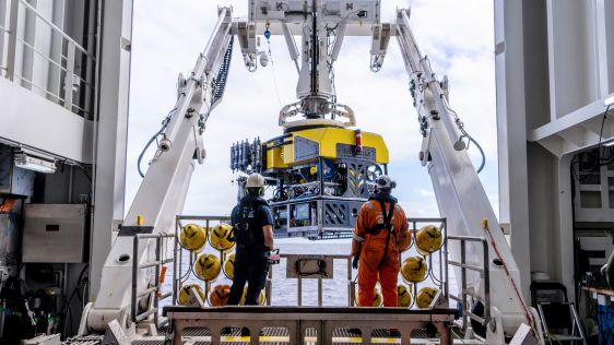 Schmidt Ocean Institute expedition discovers new hydrothermal vent fields