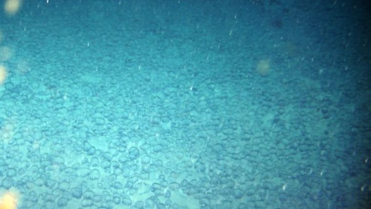 Deep-sea Mining Requires Transparent Environmental Management