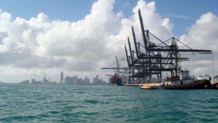 Seagrass Mitigation for Miami Harbour Dredging Project
