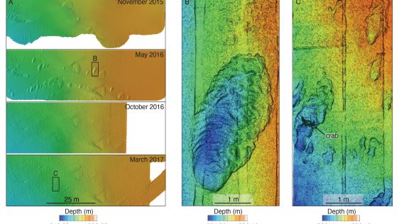 Exploring submarine canyon shaping through innovative MBARI techniques
