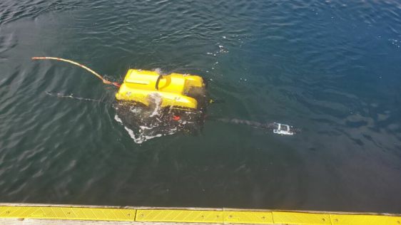 Seamor Marine’s Chinook ROV enhances UXO detection with magnetometer integration