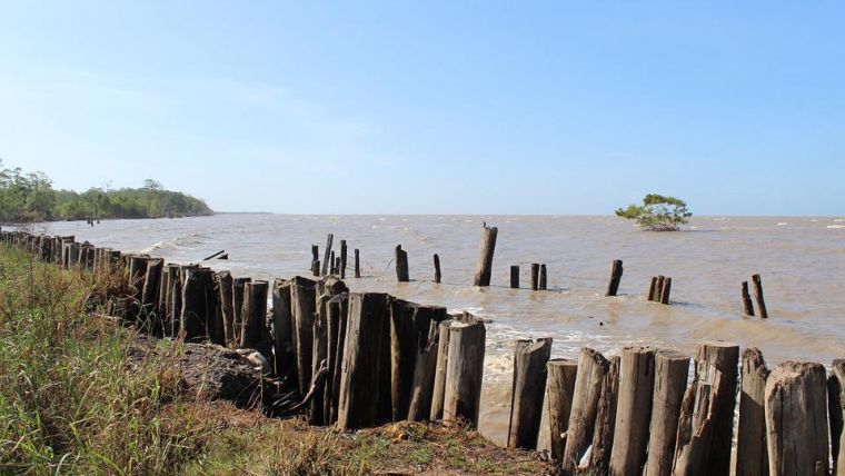 Migrating Mud Banks Hinder Coastal Management in Suriname