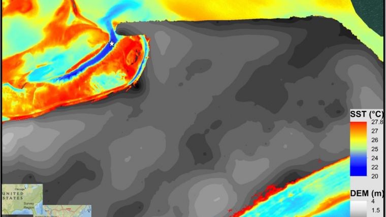 Mapping Submarine Groundwater Discharge with Thermal Infrared Imaging