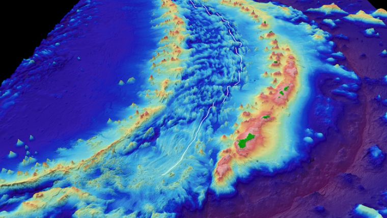 Deep-sea Vents and Volcanic Activity Discovered