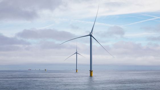 Offshore wind farms and the impact on the North Sea ecosystem
