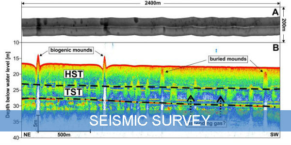 Seismic survey theme image